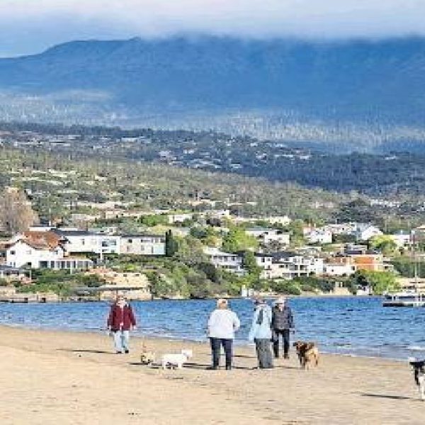 House prices surge as listings slip